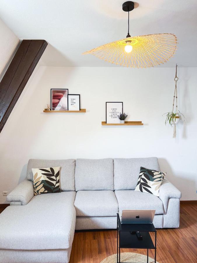 Appart'Hotel Le Dornach - Proche Gare Et Autoroute 牟罗兹 外观 照片