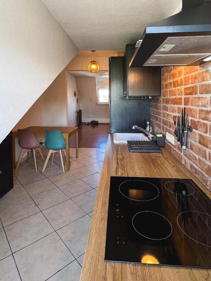 Appart'Hotel Le Dornach - Proche Gare Et Autoroute 牟罗兹 外观 照片